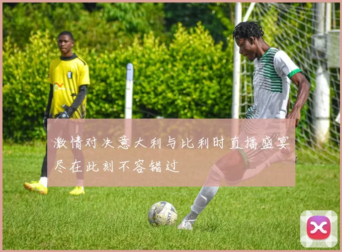 激情对决意大利与比利时直播盛宴尽在此刻不容错过