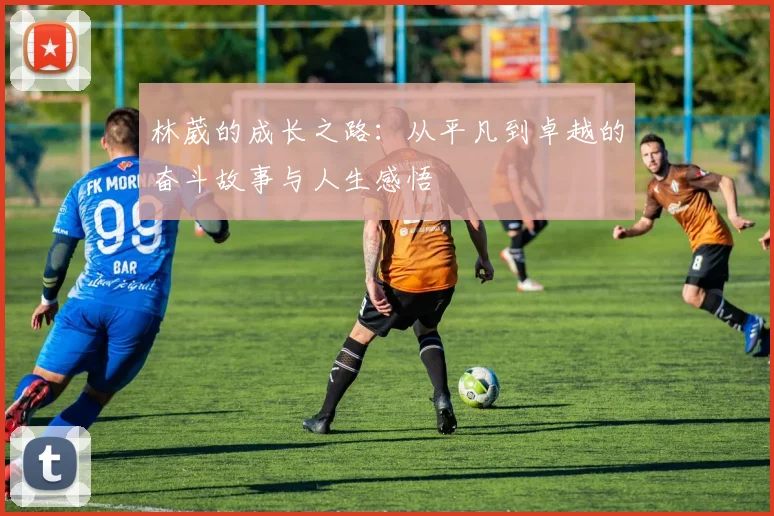林葳的成长之路：从平凡到卓越的奋斗故事与人生感悟