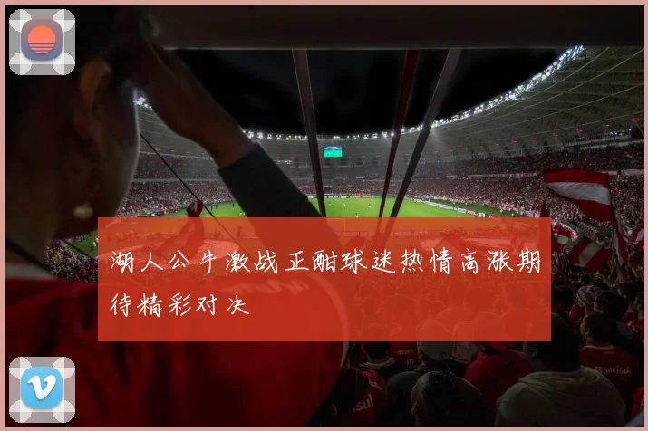 湖人公牛激战正酣球迷热情高涨期待精彩对决