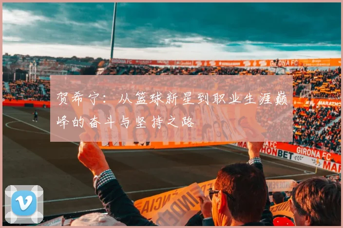 贺希宁：从篮球新星到职业生涯巅峰的奋斗与坚持之路
