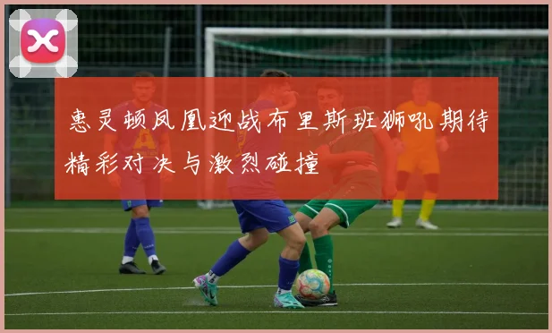 惠灵顿凤凰迎战布里斯班狮吼期待精彩对决与激烈碰撞