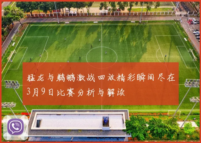 猛龙与鹈鹕激战回放精彩瞬间尽在3月9日比赛分析与解读